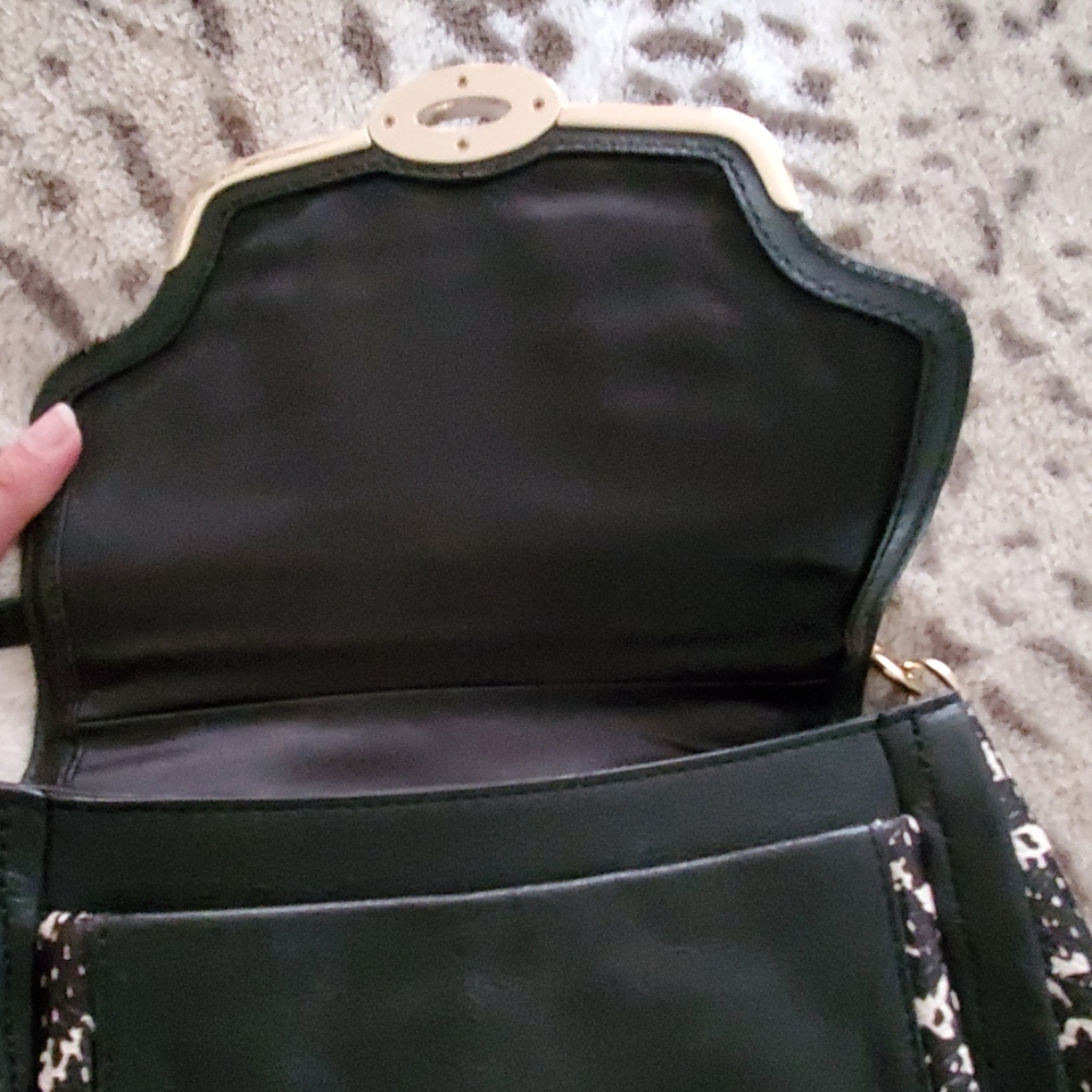 COACH - Picture 4 of 5
